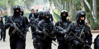 پاکستان: پنجاب میں 12دہشتگرد گرفتار، سی ٹی ڈی کا دعویٰ